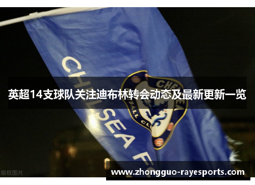 英超14支球队关注迪布林转会动态及最新更新一览