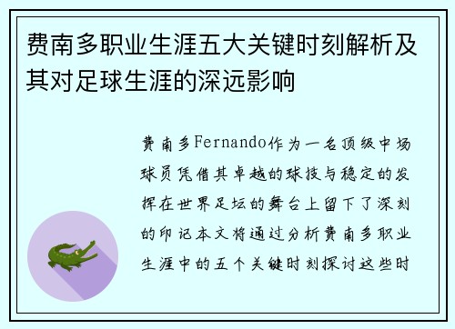 费南多职业生涯五大关键时刻解析及其对足球生涯的深远影响